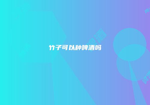 竹子可以种啤酒吗