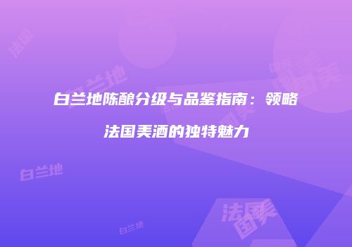 白兰地陈酿分级与品鉴指南：领略法国美酒的独特魅力