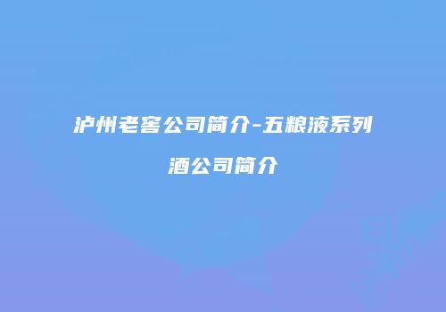 泸州老窖公司简介-五粮液系列酒公司简介
