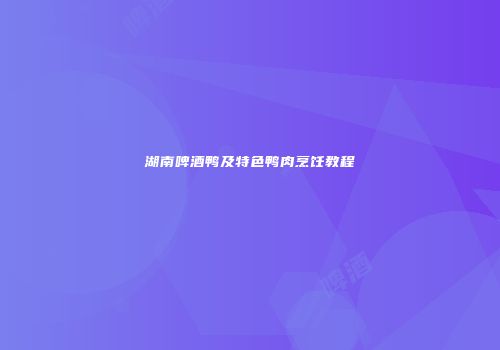 湖南啤酒鸭及特色鸭肉烹饪教程