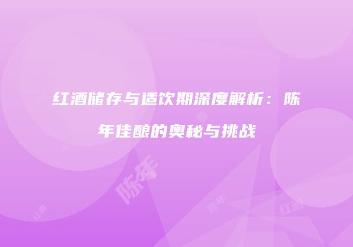 红酒储存与适饮期深度解析：陈年佳酿的奥秘与挑战