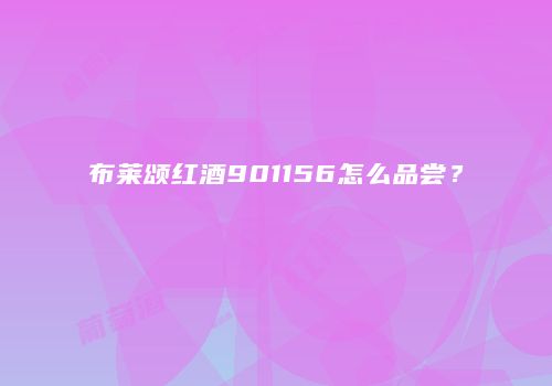 布莱颂红酒901156怎么品尝？
