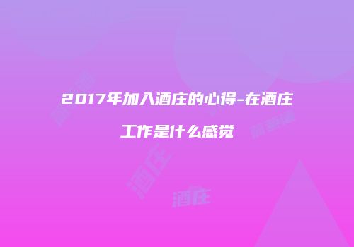 2017年加入酒庄的心得-在酒庄工作是什么感觉