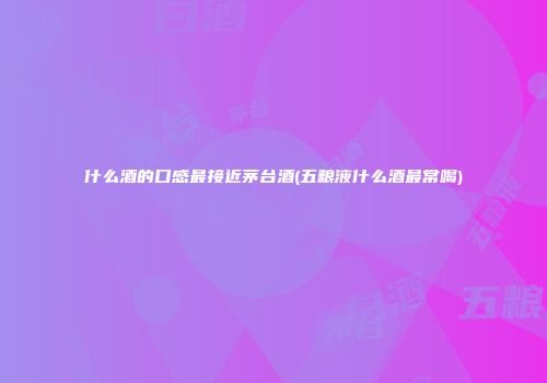 什么酒的口感最接近茅台酒(五粮液什么酒最常喝)