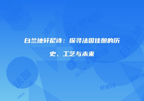 白兰地轩尼诗：探寻法国佳酿的历史、工艺与未来