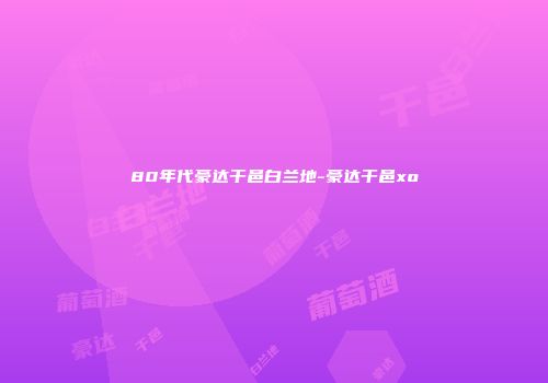 80年代豪达干邑白兰地-豪达干邑xo