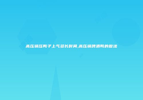 高压锅压鸭子上气多长时间,高压锅啤酒鸭的做法