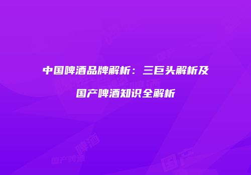 中国啤酒品牌解析：三巨头解析及国产啤酒知识全解析