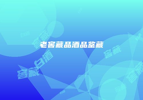 老窖藏品酒品鉴藏