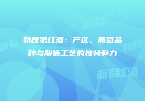 勃艮第红酒：产区、葡萄品种与酿造工艺的独特魅力
