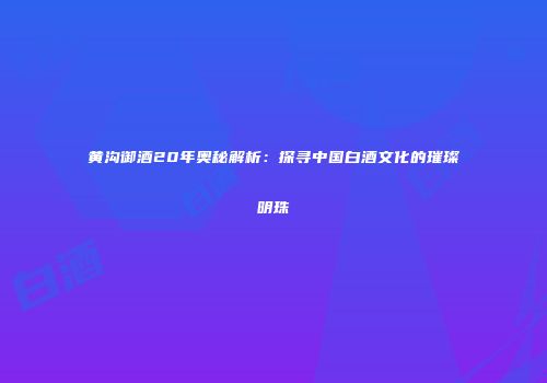 黄沟御酒20年奥秘解析：探寻中国白酒文化的璀璨明珠