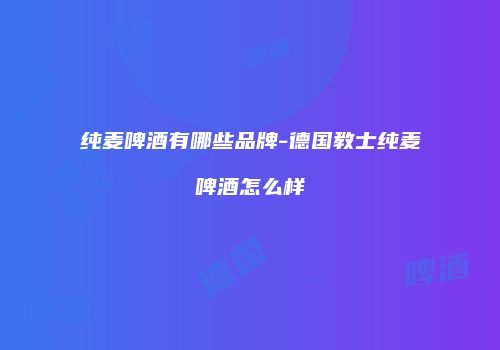 纯麦啤酒有哪些品牌-德国教士纯麦啤酒怎么样