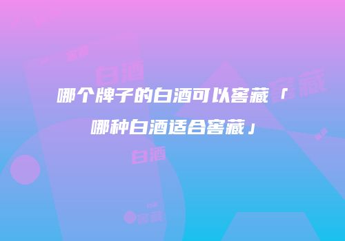 哪个牌子的白酒可以窖藏「哪种白酒适合窖藏」