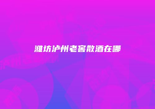 潍坊泸州老窖散酒在哪