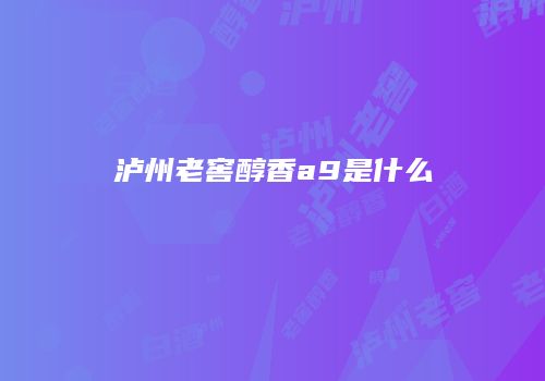 泸州老窖醇香a9是什么