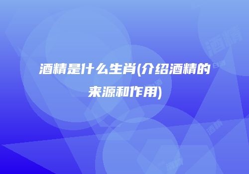 酒精是什么生肖(介绍酒精的来源和作用)