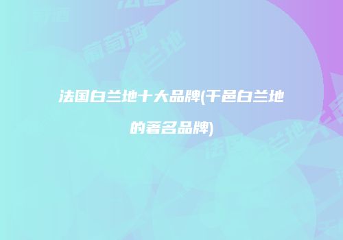 法国白兰地十大品牌(干邑白兰地的著名品牌)