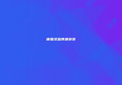 德国汉森啤酒袋装