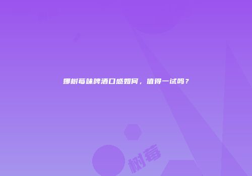 娜树莓味啤酒口感如何，值得一试吗？