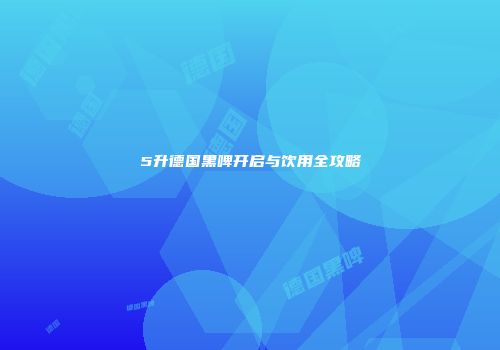 5升德国黑啤开启与饮用全攻略