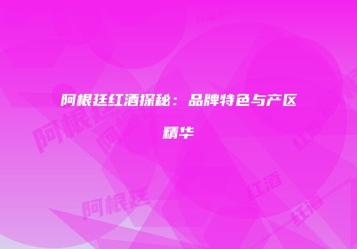 阿根廷红酒探秘：品牌特色与产区精华