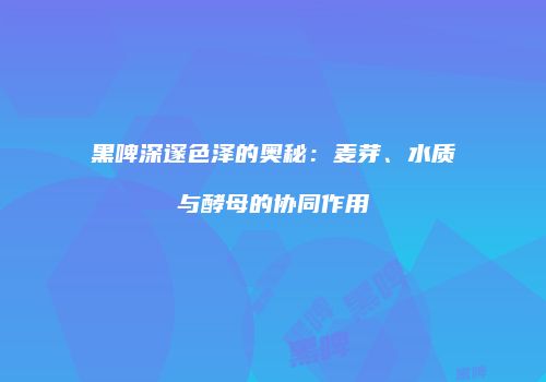 黑啤深邃色泽的奥秘：麦芽、水质与酵母的协同作用