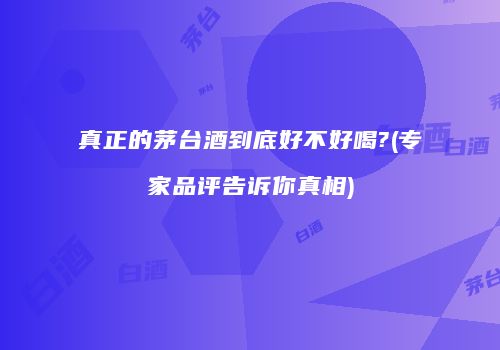 真正的茅台酒到底好不好喝?(专家品评告诉你真相)