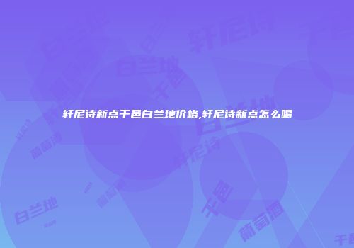 轩尼诗新点干邑白兰地价格,轩尼诗新点怎么喝