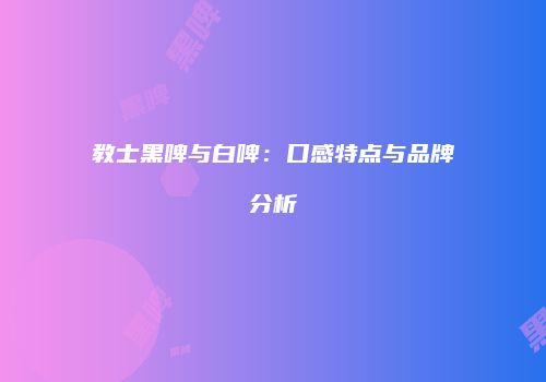 教士黑啤与白啤：口感特点与品牌分析