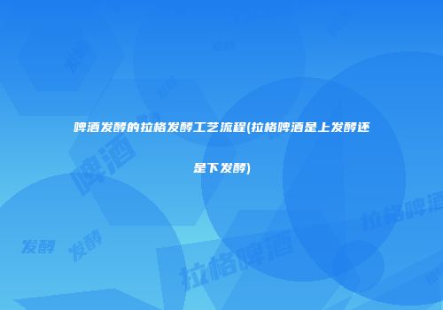 啤酒发酵的拉格发酵工艺流程(拉格啤酒是上发酵还是下发酵)