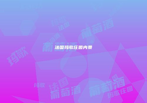 法国玛歌庄园内景