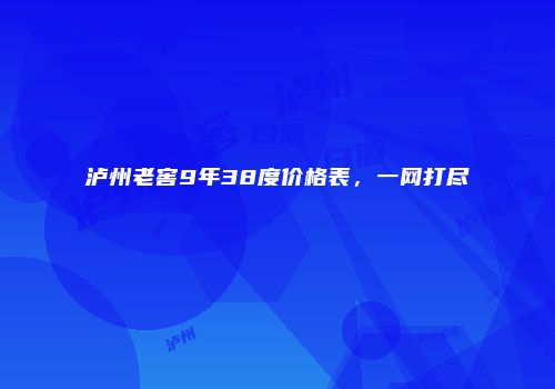 泸州老窖9年38度价格表，一网打尽