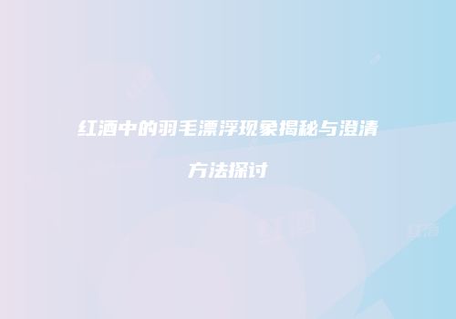 红酒中的羽毛漂浮现象揭秘与澄清方法探讨