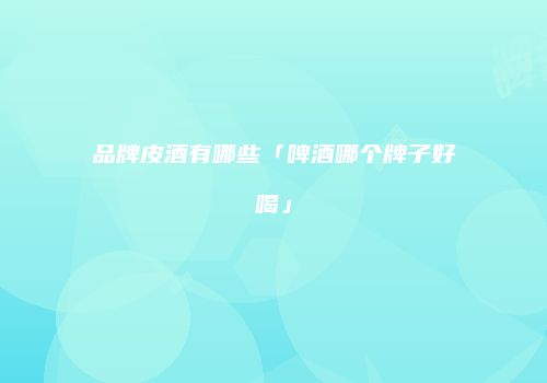品牌皮酒有哪些「啤酒哪个牌子好喝」