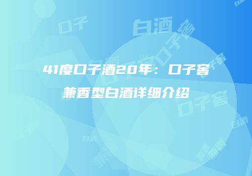 41度口子酒20年：口子窖兼香型白酒详细介绍