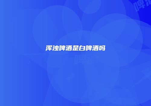 浑浊啤酒是白啤酒吗