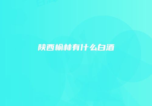 陕西榆林有什么白酒