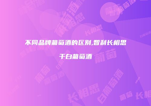 不同品牌葡萄酒的区别,智利长相思干白葡萄酒