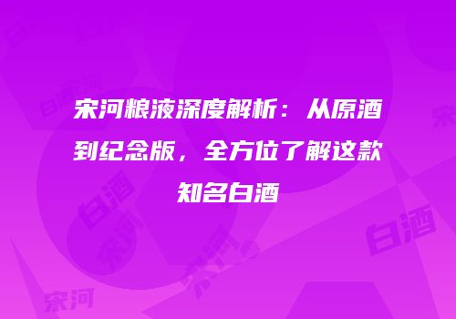 宋河粮液深度解析：从原酒到纪念版，全方位了解这款知名白酒