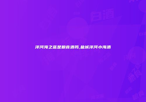 洋河海之蓝是粮食酒吗,盐城洋河小海酒