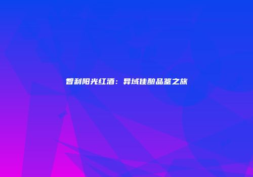 智利阳光红酒：异域佳酿品鉴之旅