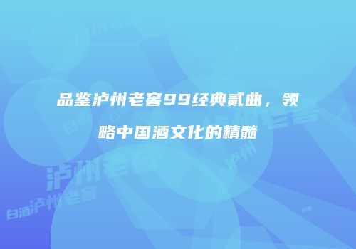 品鉴泸州老窖99经典贰曲，领略中国酒文化的精髓
