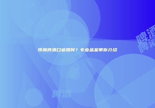 领鹰啤酒口感如何？专业品鉴带你介绍