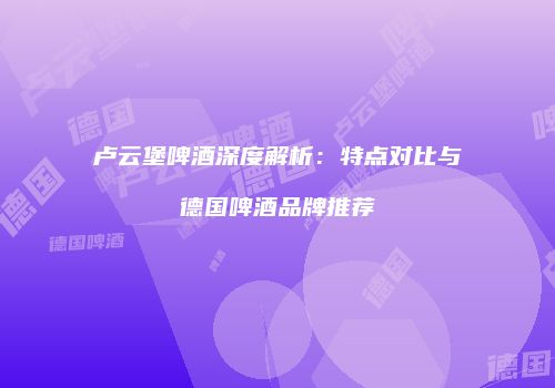 卢云堡啤酒深度解析：特点对比与德国啤酒品牌推荐