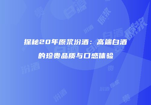 探秘20年原浆汾酒：高端白酒的珍贵品质与口感体验