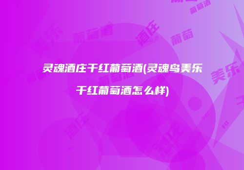 灵魂酒庄干红葡萄酒(灵魂鸟美乐干红葡萄酒怎么样)
