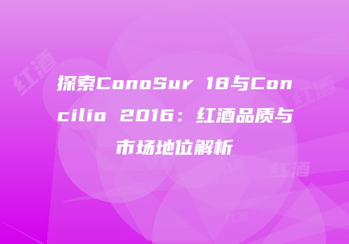 探索ConoSur 18与Concilio 2016：红酒品质与市场地位解析