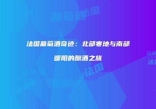 法国葡萄酒奇迹：北部寒地与南部暖阳的酿酒之旅