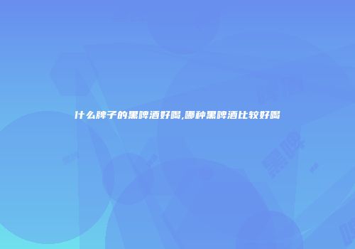 什么牌子的黑啤酒好喝,哪种黑啤酒比较好喝