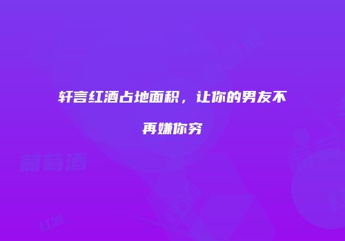 轩言红酒占地面积，让你的男友不再嫌你穷